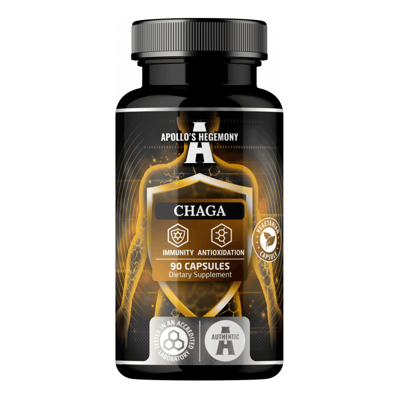 Chaga (Ekstrakt 10:1) 300mg -90 kapsler