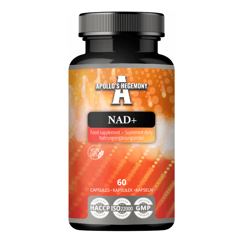 NAD+ 300 mg 60 kaps (Nicotinamide adenine dinucleotide)